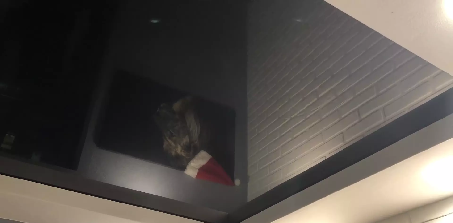 Комсомольск-на-Амуре, Сусанина, 76, фото 3