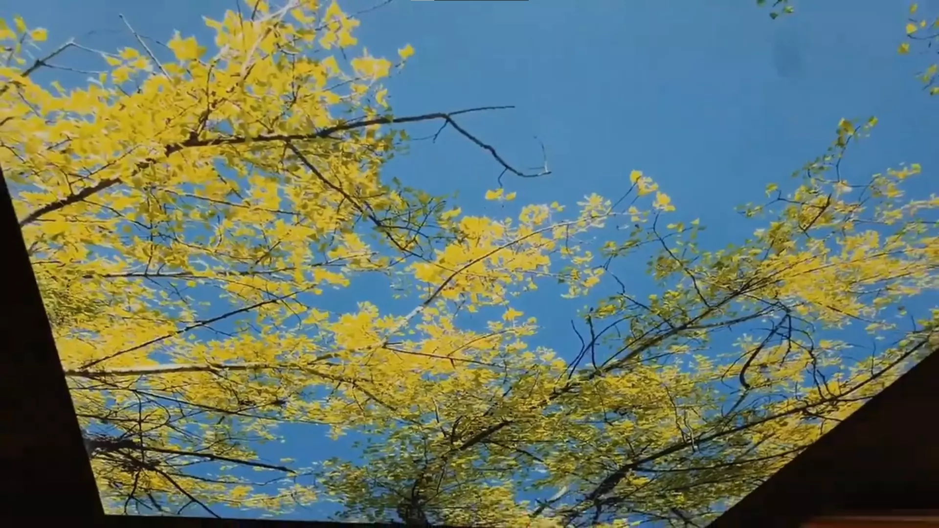 Владикавказ, проспект Доватора, 256, фото 2