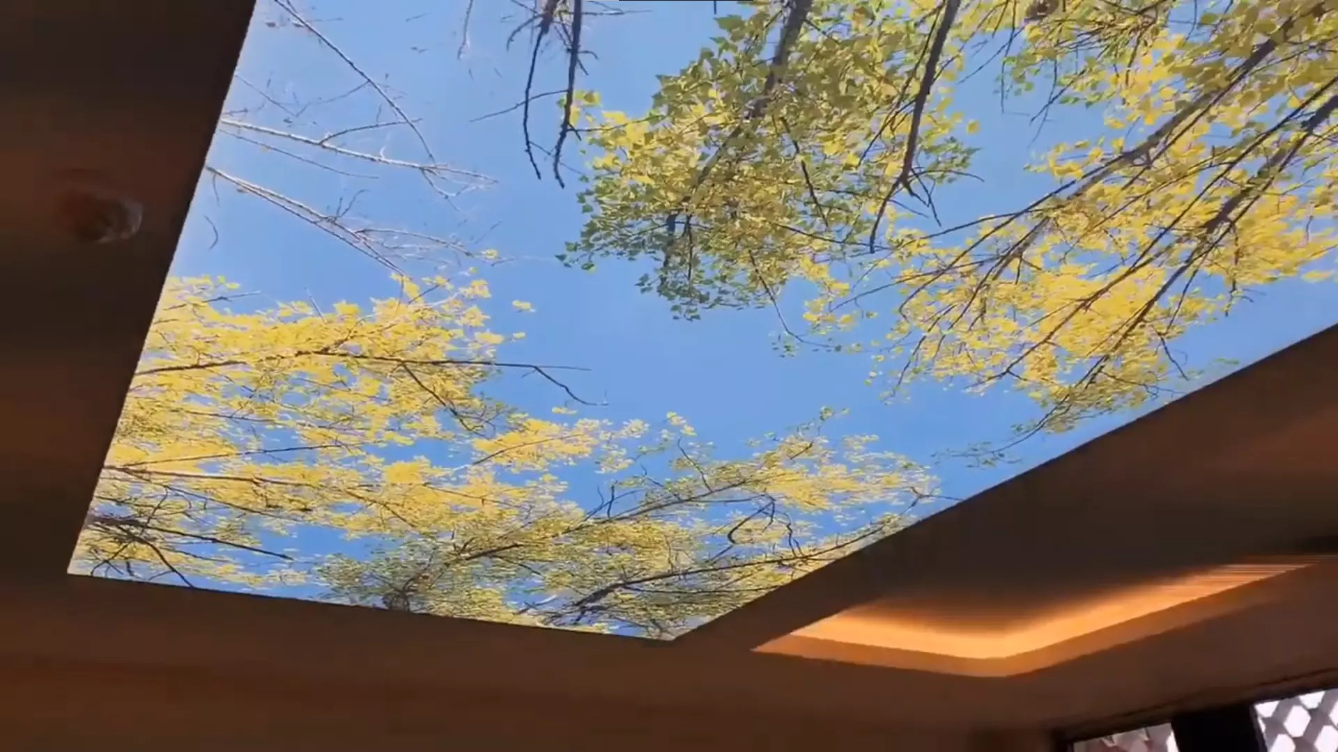 Владикавказ, проспект Доватора, 256, фото 3